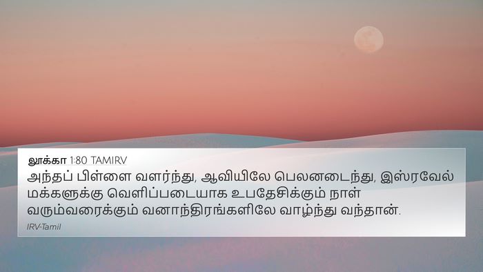 லூக்கா 1:80 TAMIRV Bible Verse Image