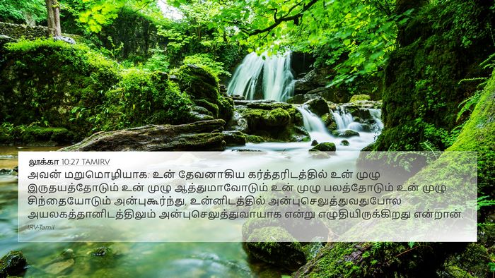 லூக்கா 10:27 TAMIRV Bible Verse Image