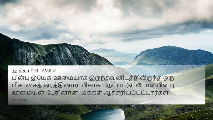 லூக்கா 11:14 TAMIRV Bible Verse Image