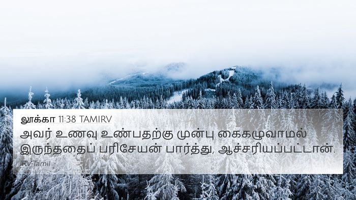 லூக்கா 11:38 TAMIRV Bible Verse Image