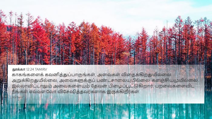 லூக்கா 12:24 TAMIRV Bible Verse Image