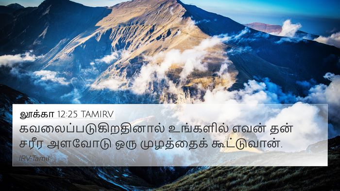 லூக்கா 12:25 TAMIRV Bible Verse Image