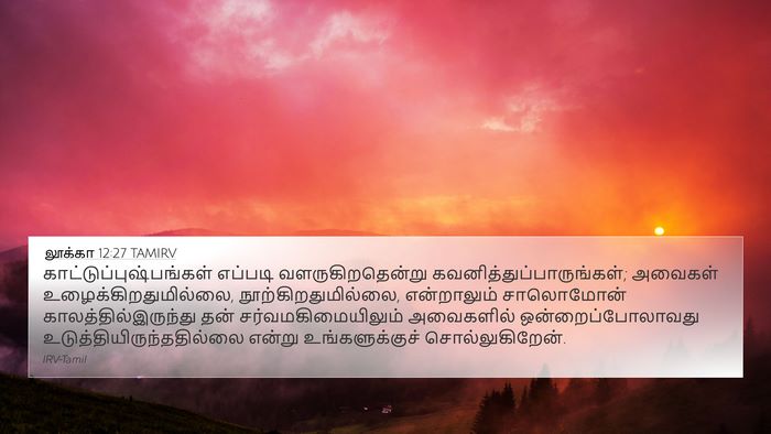 லூக்கா 12:27 TAMIRV Bible Verse Image