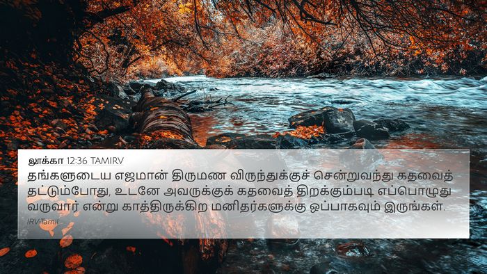 லூக்கா 12:36 TAMIRV Bible Verse Image