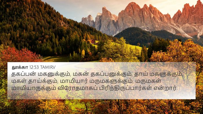 லூக்கா 12:53 TAMIRV Bible Verse Image