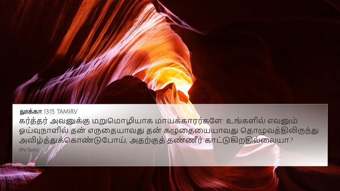 லூக்கா 13:15 TAMIRV Bible Verse Image