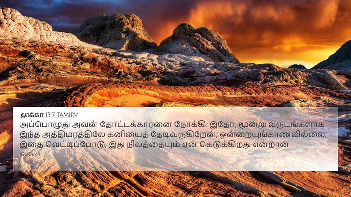 லூக்கா 13:7 TAMIRV Bible Verse Image