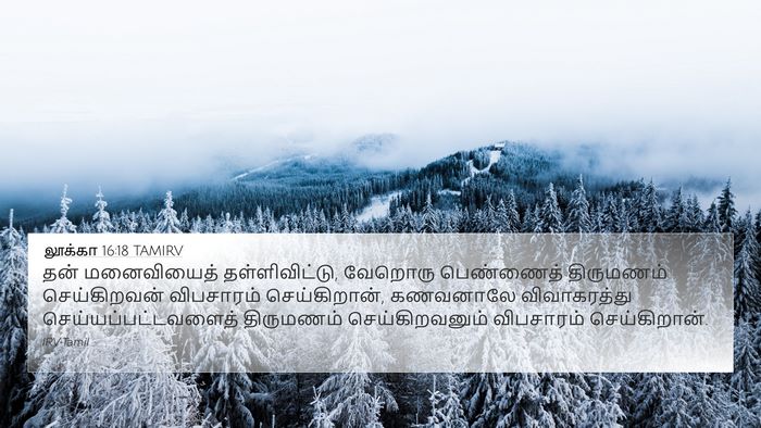 லூக்கா 16:18 TAMIRV Bible Verse Image