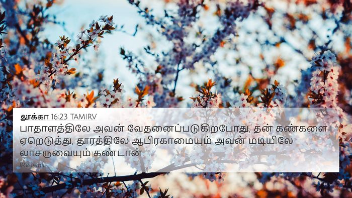 லூக்கா 16:23 TAMIRV Bible Verse Image