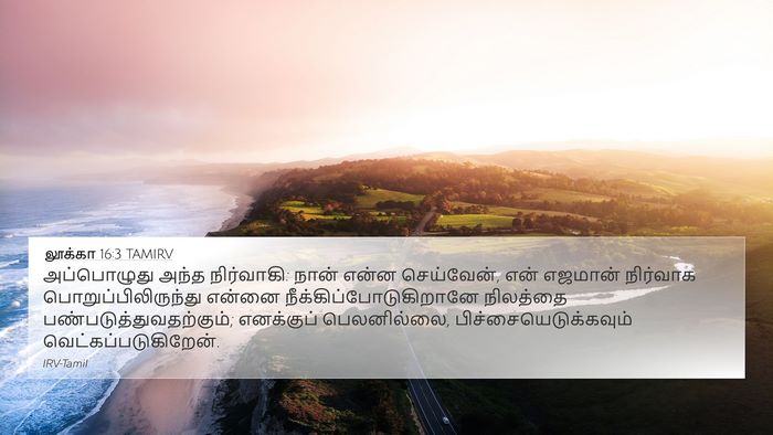 லூக்கா 16:3 TAMIRV Bible Verse Image