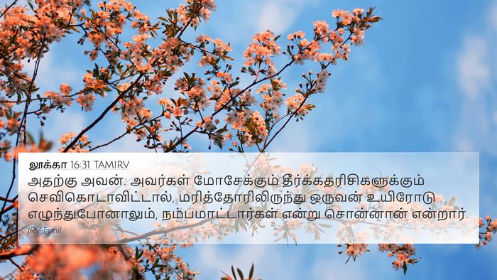 லூக்கா 16:31 TAMIRV Bible Verse Image