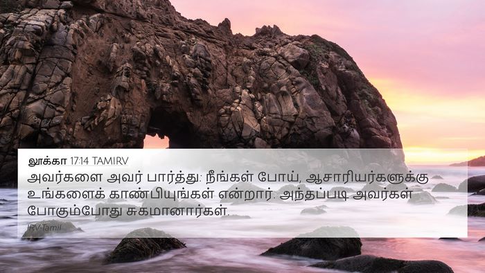 லூக்கா 17:14 TAMIRV Bible Verse Image