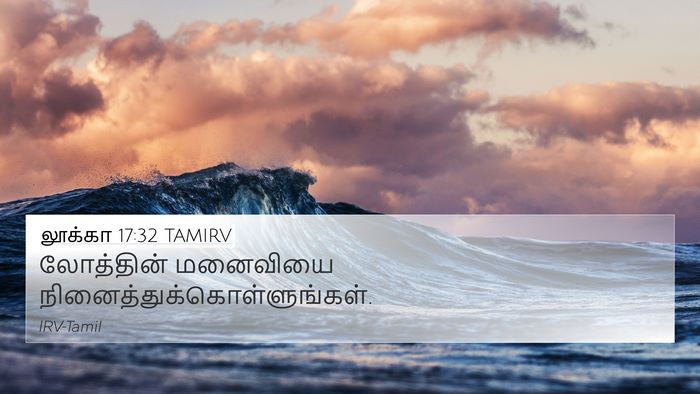 லூக்கா 17:32 TAMIRV Bible Verse Image