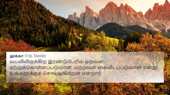லூக்கா 17:36 TAMIRV 4K Wallpaper - வயலிலிருக்கிற - 4K Wallpaper Bible Verse