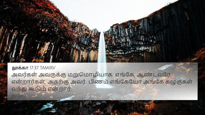 லூக்கா 17:37 TAMIRV Bible Verse Image