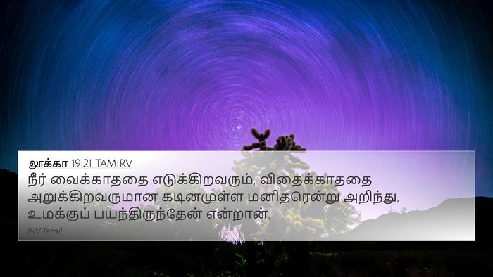 லூக்கா 19:21 TAMIRV Bible Verse Image