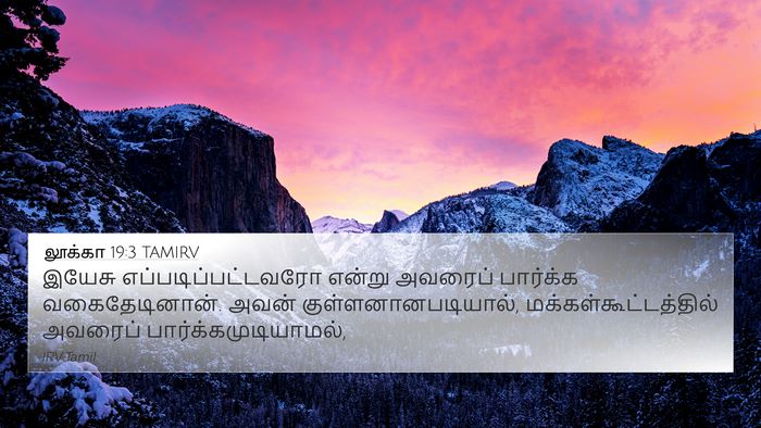 லூக்கா 19:3 TAMIRV Bible Verse Image