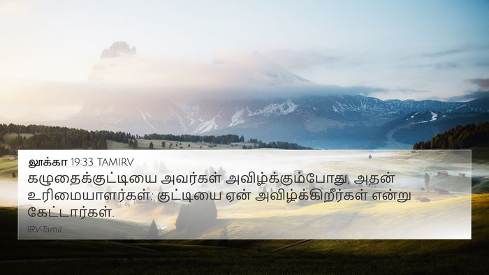 லூக்கா 19:33 TAMIRV 4K Wallpaper - கழுதைக்குட்டியை - 4K Wallpaper Bible Verse