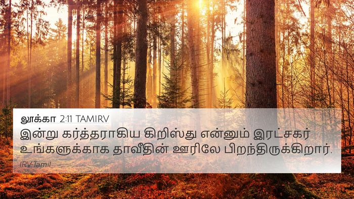 லூக்கா 2:11 TAMIRV Bible Verse Image