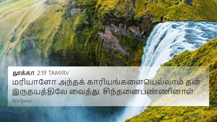 லூக்கா 2:19 TAMIRV Bible Verse Image