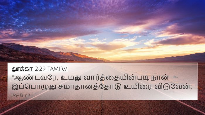 லூக்கா 2:29 TAMIRV Bible Verse Image