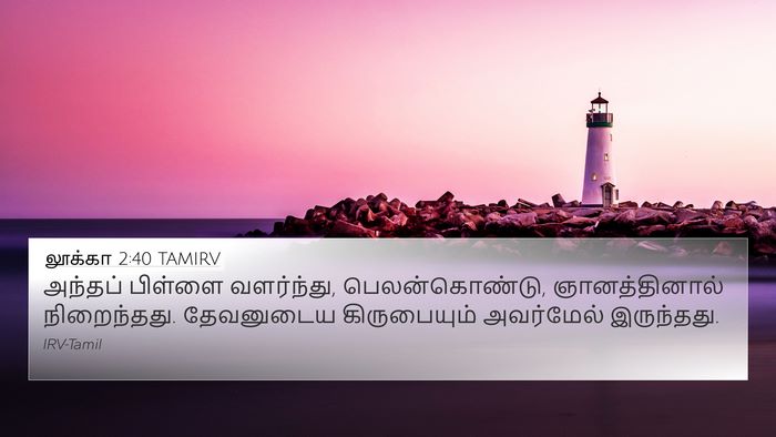 லூக்கா 2:40 TAMIRV Bible Verse Image