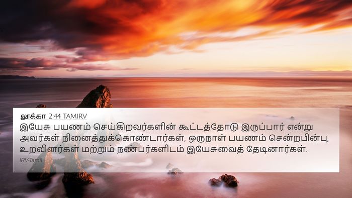 லூக்கா 2:44 TAMIRV 4K Wallpaper - இயேசு பயணம் - 4K Wallpaper Bible Verse