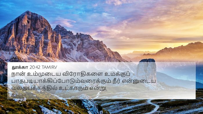 லூக்கா 20:42 TAMIRV Bible Verse Image