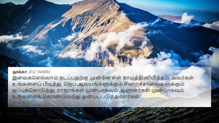 லூக்கா 21:12 TAMIRV Bible Verse Image