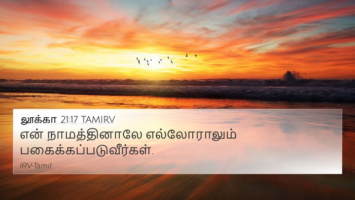 லூக்கா 21:17 TAMIRV Bible Verse Image