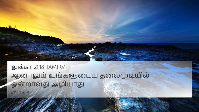 லூக்கா 21:18 TAMIRV Bible Verse Image