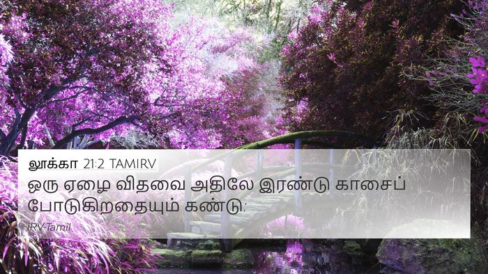 லூக்கா 21:2 TAMIRV Bible Verse Image