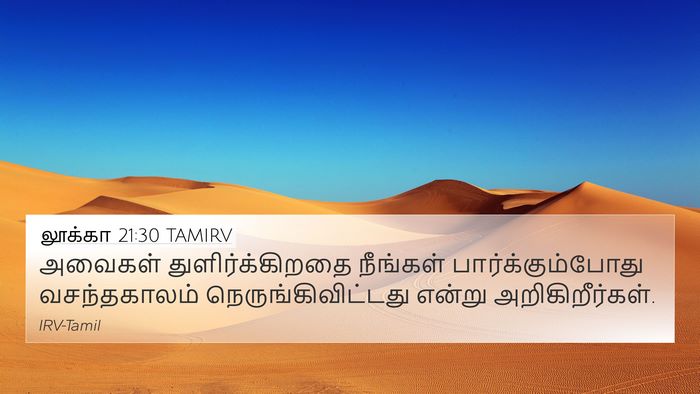 லூக்கா 21:30 TAMIRV Bible Verse Image