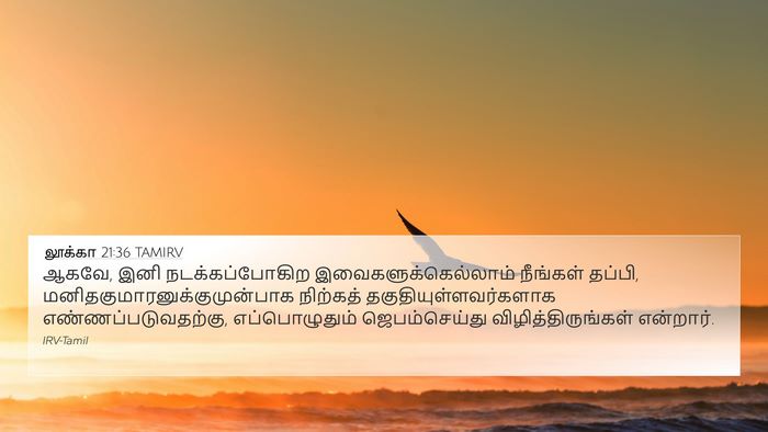 லூக்கா 21:36 TAMIRV Bible Verse Image