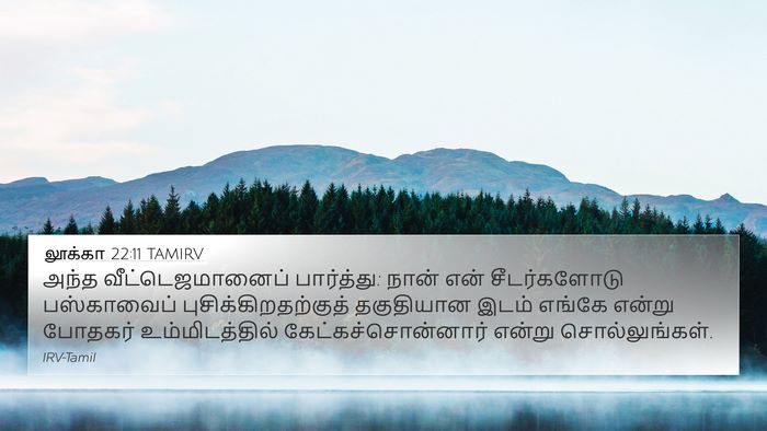 லூக்கா 22:11 TAMIRV 4K Wallpaper - அந்த - 4K Wallpaper Bible Verse