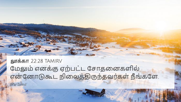 லூக்கா 22:28 TAMIRV Bible Verse Image