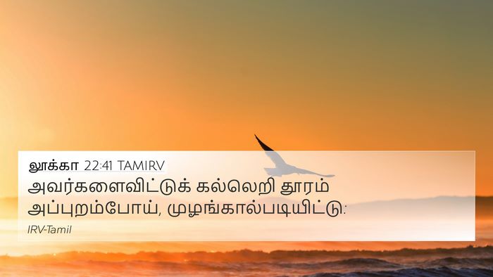 லூக்கா 22:41 TAMIRV Bible Verse Image