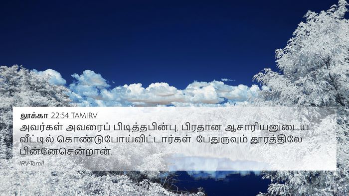 லூக்கா 22:54 TAMIRV Bible Verse Image