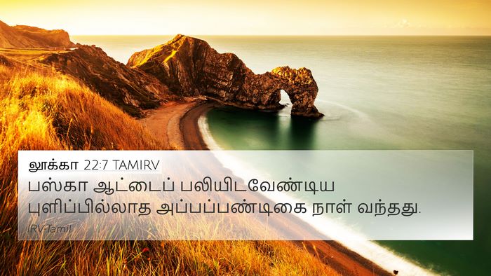 லூக்கா 22:7 TAMIRV 4K Wallpaper - பஸ்கா ஆட்டைப் - 4K Wallpaper Bible Verse