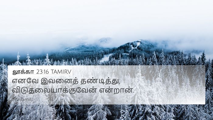 லூக்கா 23:16 TAMIRV Bible Verse Image