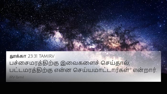 லூக்கா 23:31 TAMIRV Bible Verse Image