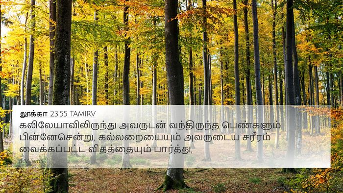 லூக்கா 23:55 TAMIRV Bible Verse Image