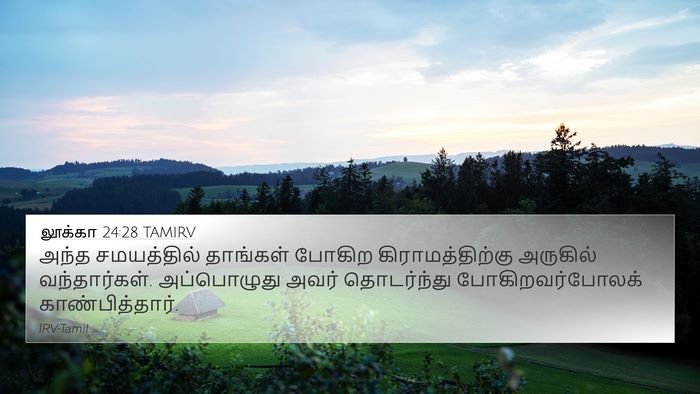 லூக்கா 24:28 TAMIRV Bible Verse Image
