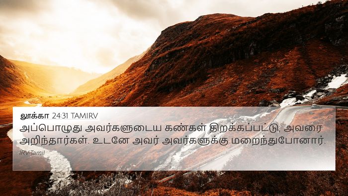 லூக்கா 24:31 TAMIRV Bible Verse Image