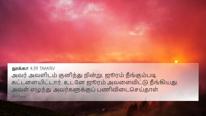 லூக்கா 4:39 TAMIRV Bible Verse Image