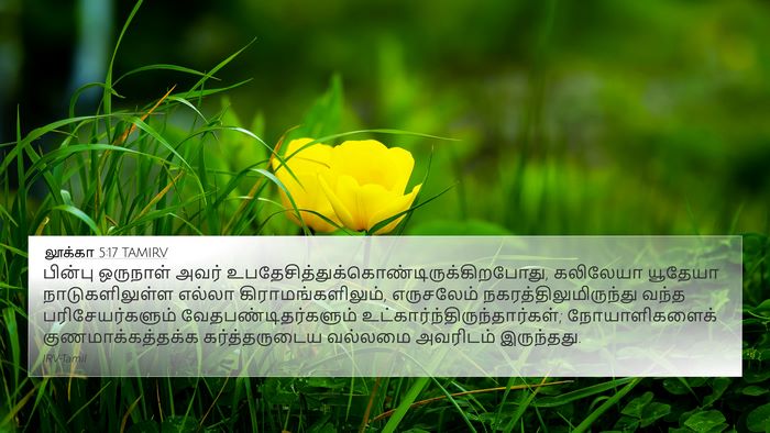லூக்கா 5:17 TAMIRV Bible Verse Image