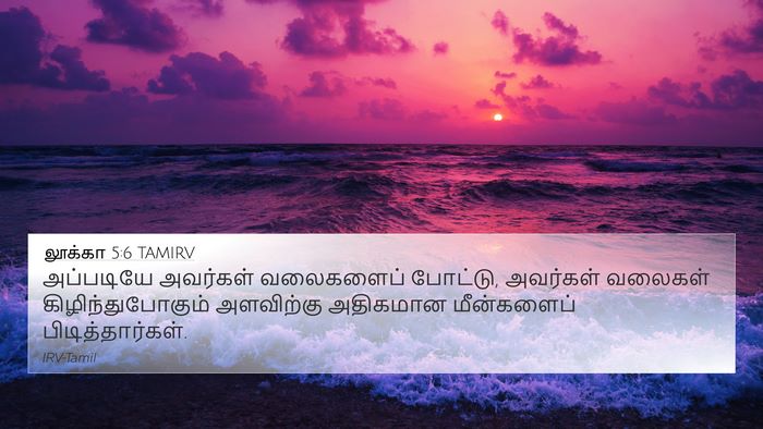 லூக்கா 5:6 TAMIRV 4K Wallpaper - அப்படியே அவர்கள் - 4K Wallpaper Bible Verse