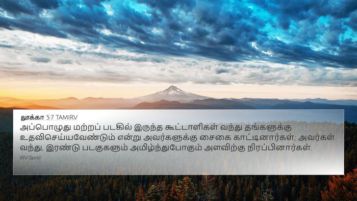 லூக்கா 5:7 TAMIRV Bible Verse Image