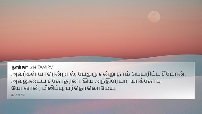 லூக்கா 6:14 TAMIRV Bible Verse Image