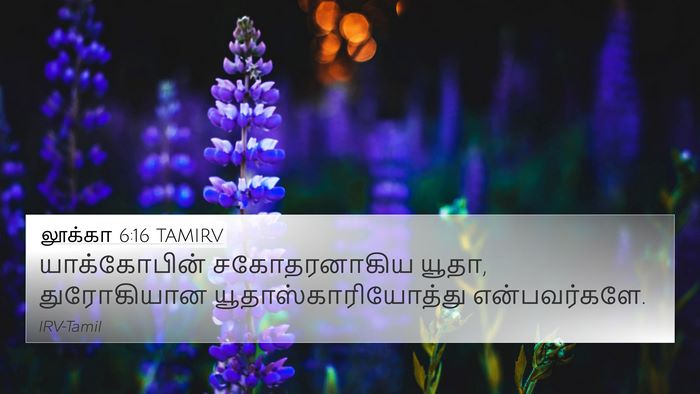 லூக்கா 6:16 TAMIRV Bible Verse Image